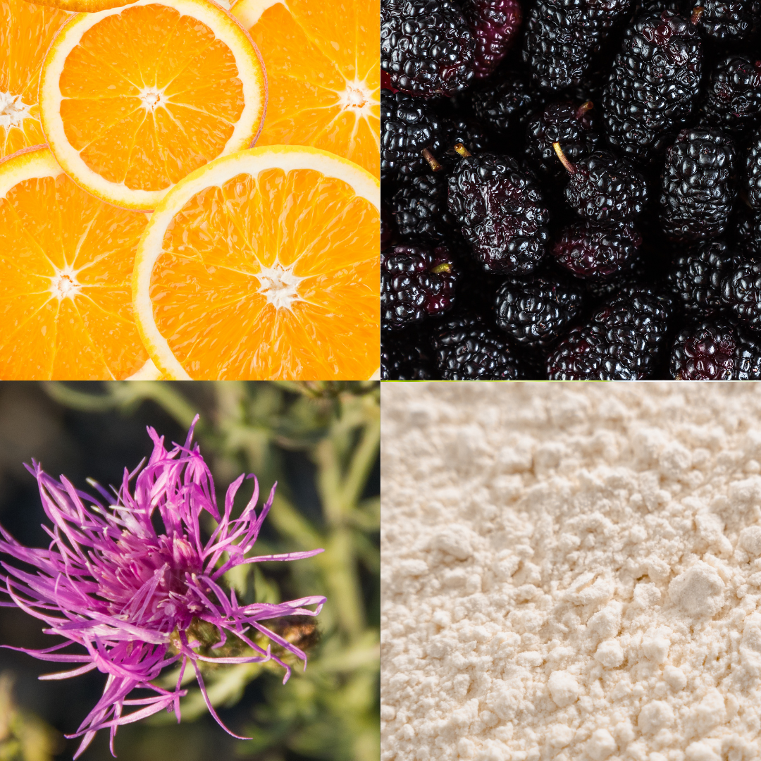 CLARA - Illuminating Vitamin C Serum