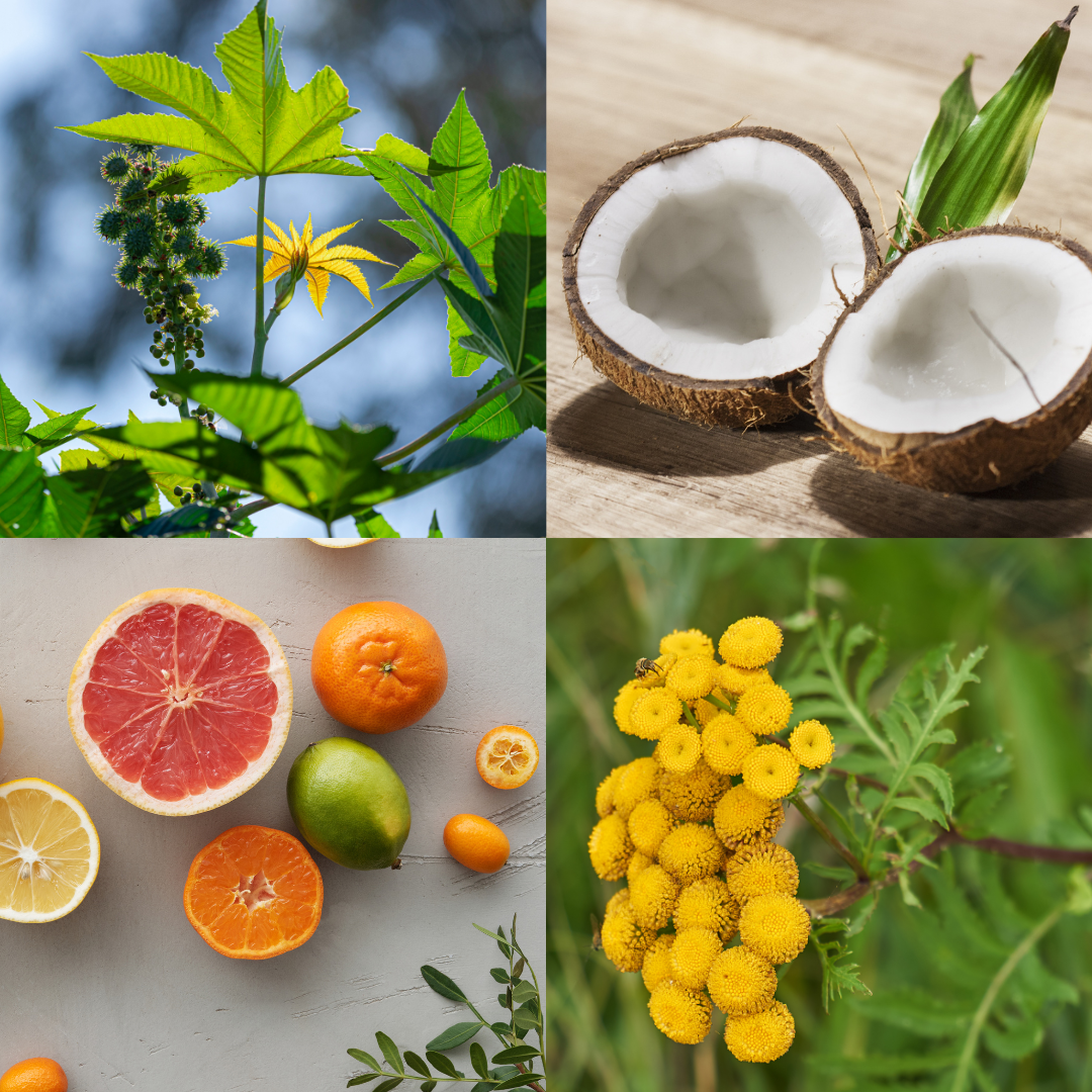 KEEP CALM - Oil Balancing and Skin Barrier Boosting Oil Cleanser