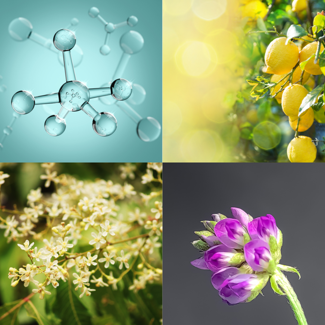 Pep Talk - Peptide Youth Serum