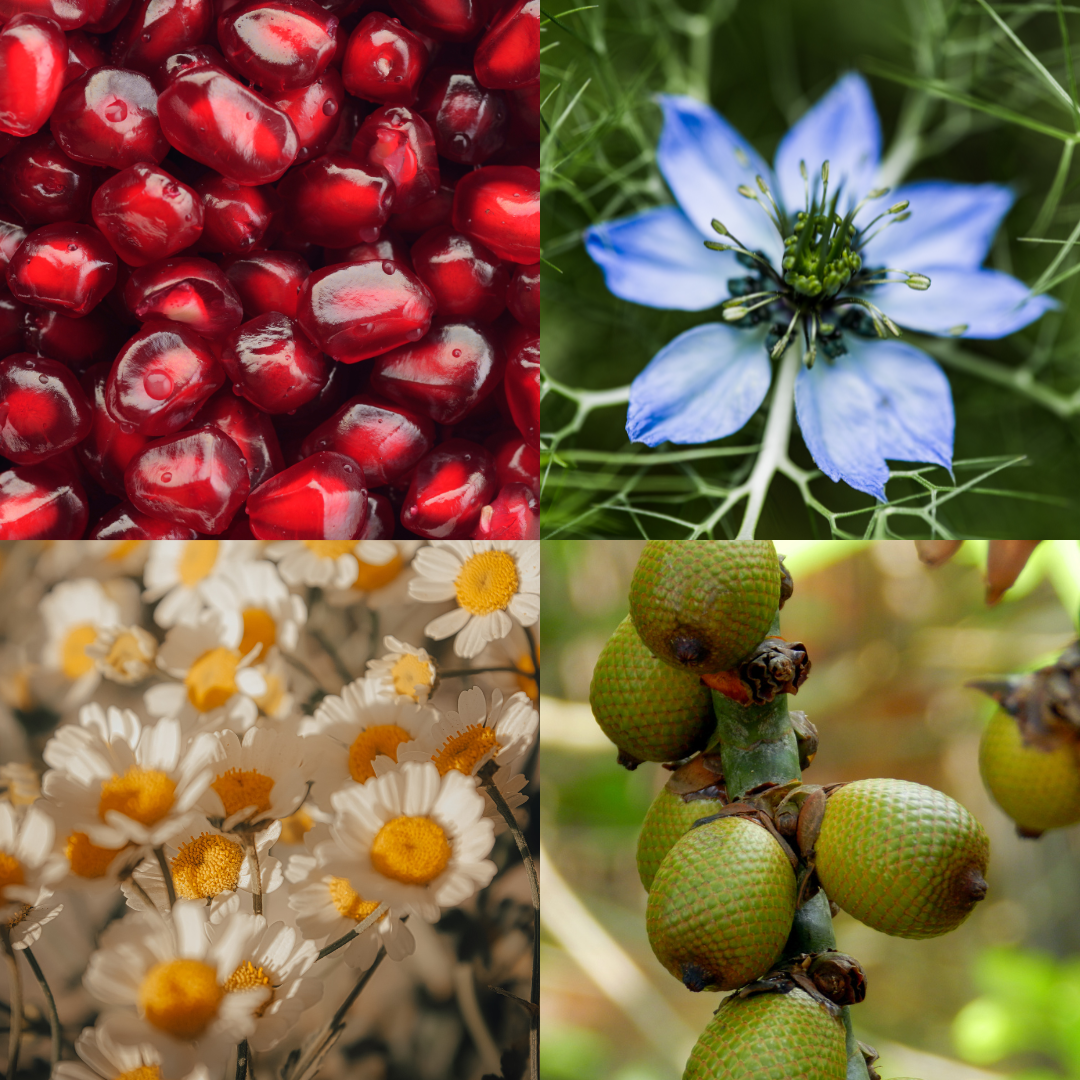 PLANT VOODOO - Clarifying Concentrate for Dehydrated Blemish Prone Skin